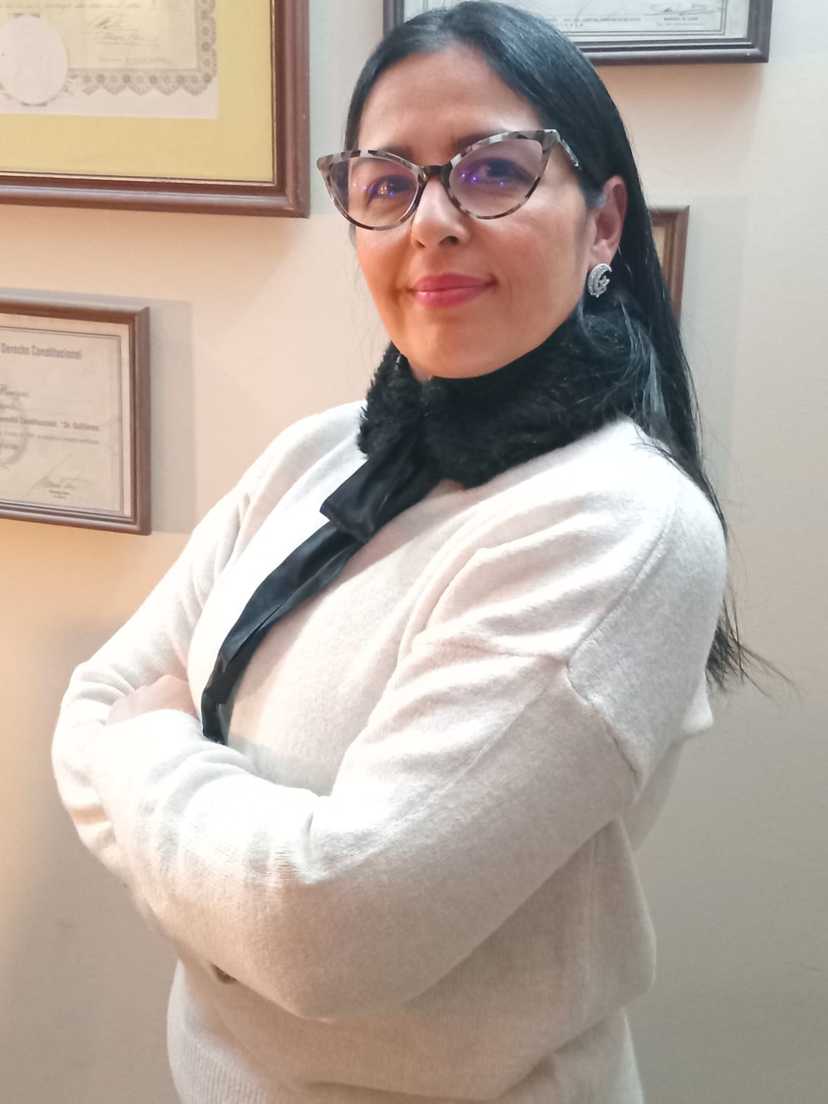 Dra. Ana Carolina Pereyra - Fundadora del Estudio Jurídico Pereyra Landro & Asociados, MP 1-31645, en su oficina profesional